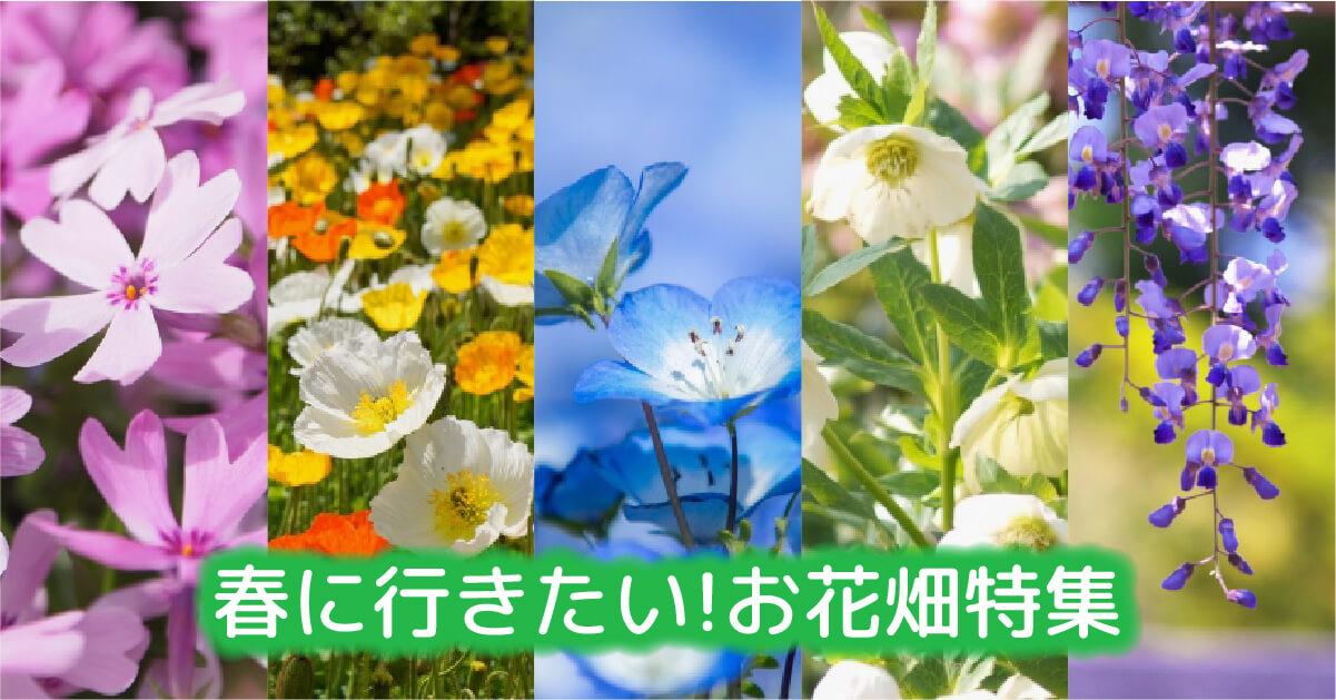 4月の週末やゴールデンウイークのお出かけに!