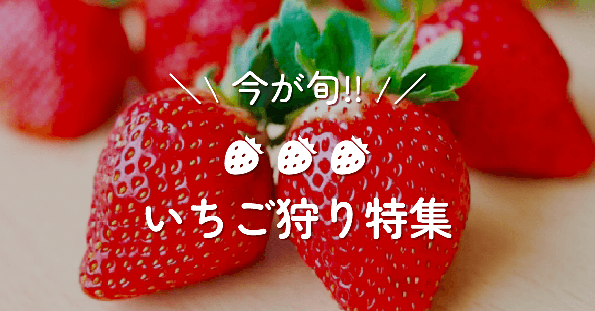 日本各地のいちご農園をピックアップ!